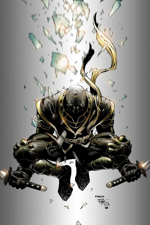 Ronin (Echo)